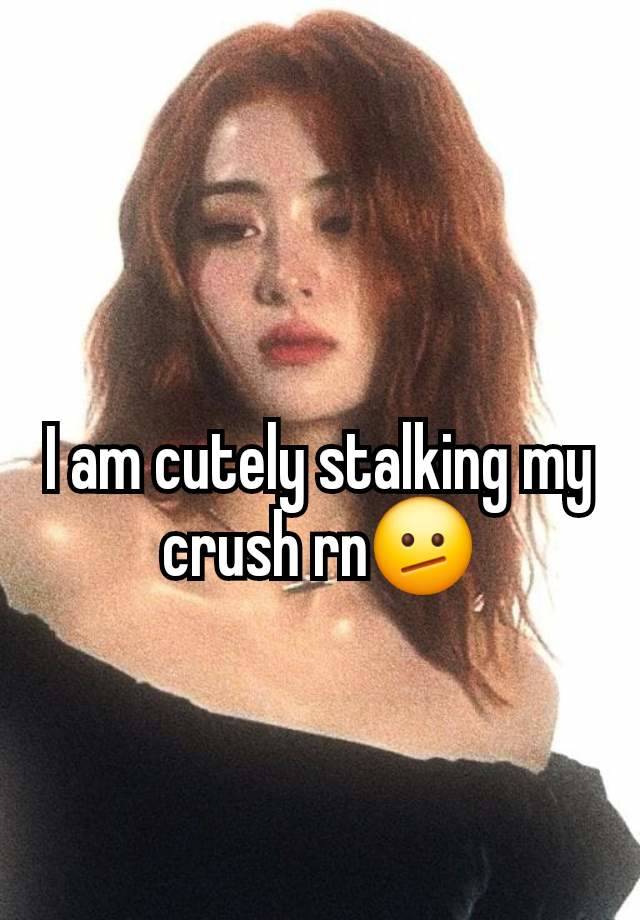 I am cutely stalking my crush rn🫤