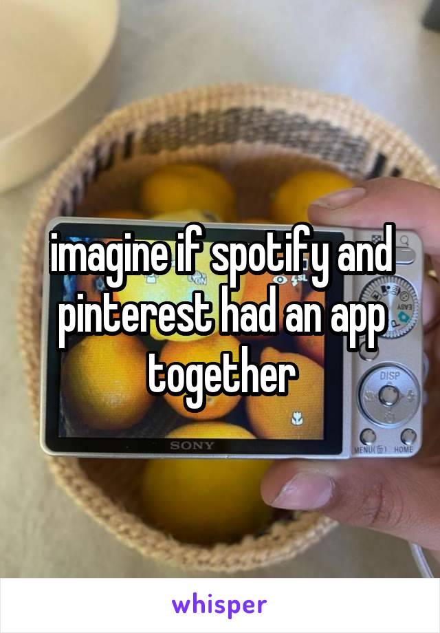 imagine if spotify and pinterest had an app together