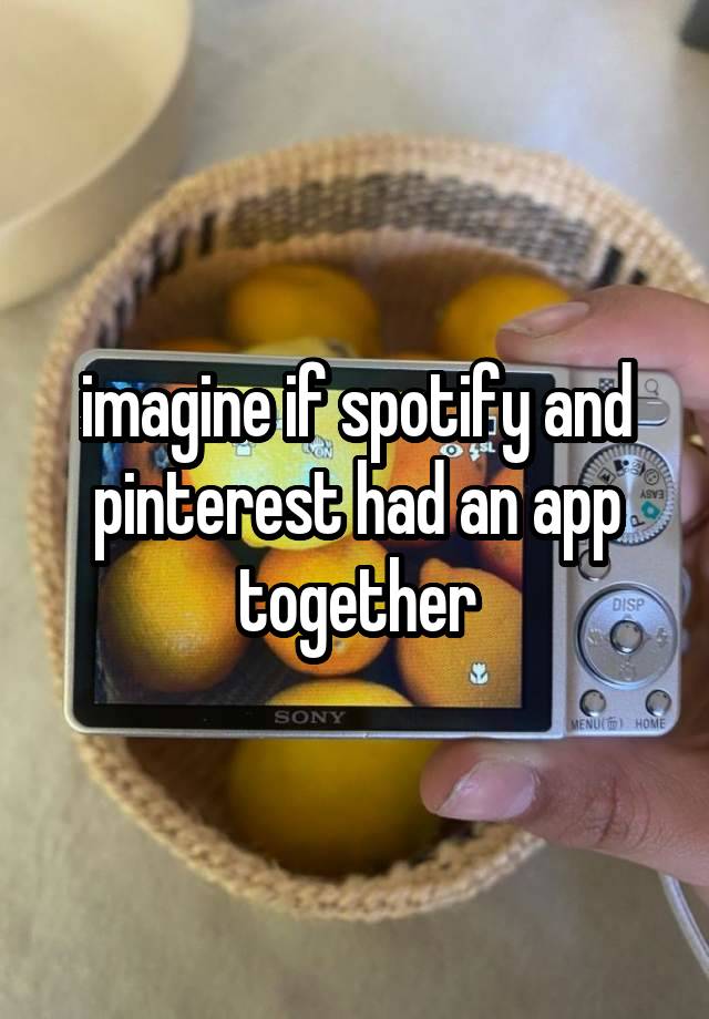 imagine if spotify and pinterest had an app together