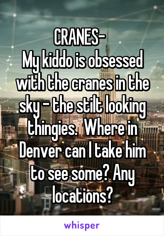 CRANES-  
My kiddo is obsessed with the cranes in the sky - the stilt looking thingies.  Where in Denver can I take him to see some? Any locations?