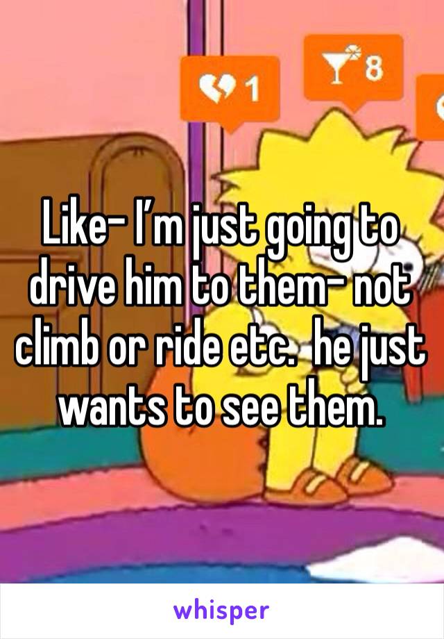 Like- I’m just going to drive him to them- not climb or ride etc.  he just wants to see them. 