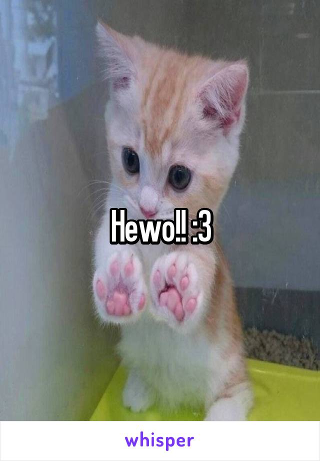 Hewo!! :3