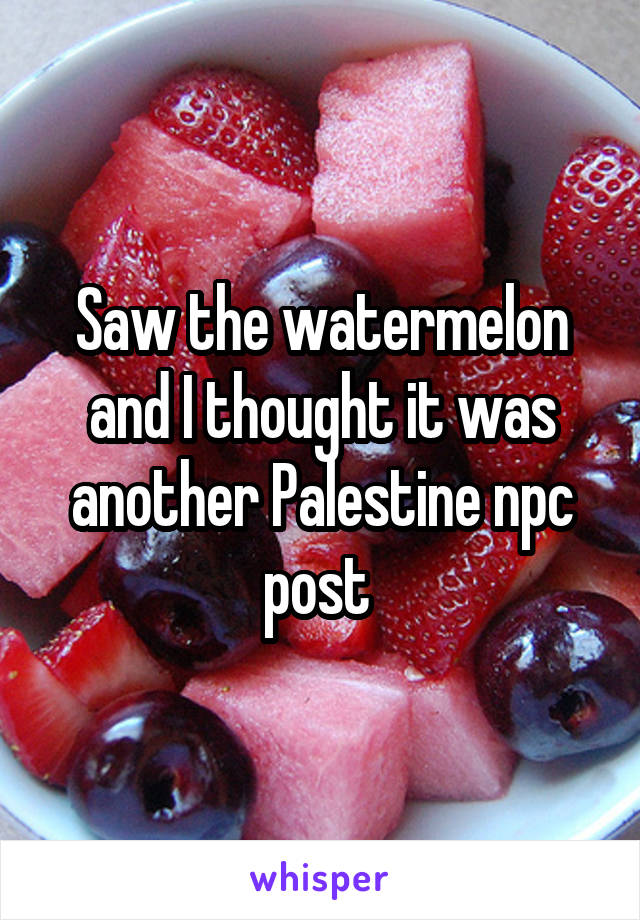 Saw the watermelon and I thought it was another Palestine npc post 