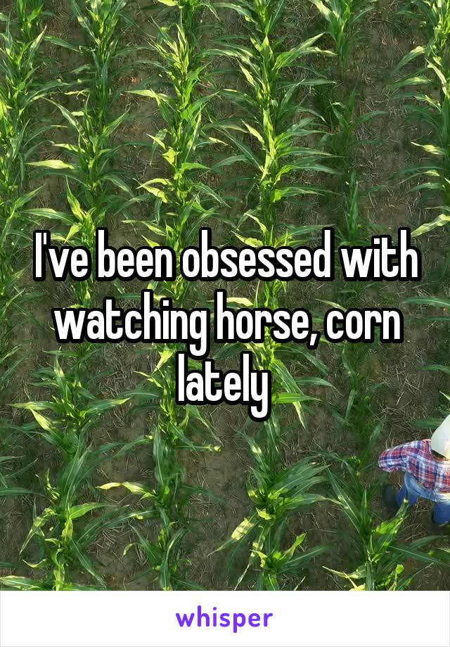 I've been obsessed with watching horse, corn lately 