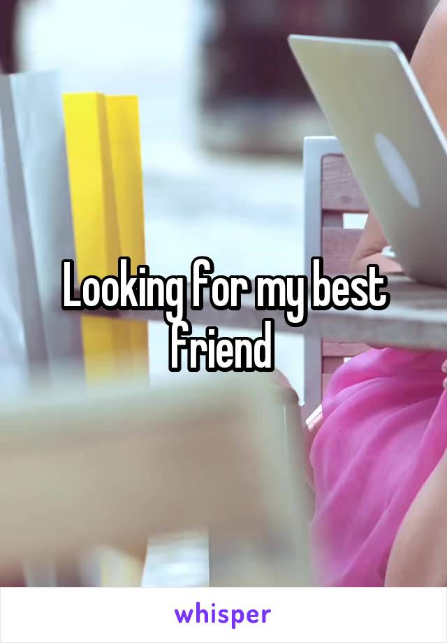 Looking for my best friend 