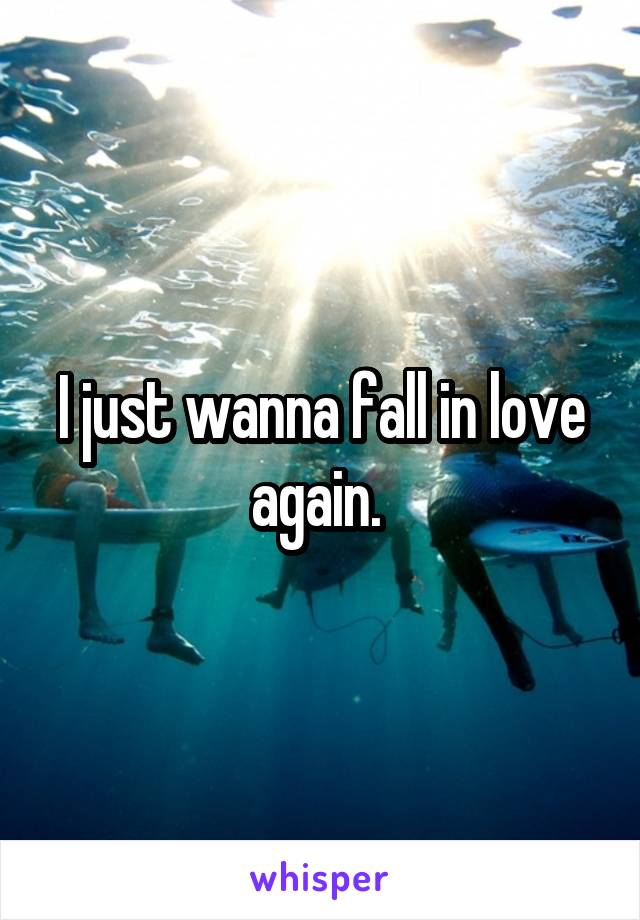 I just wanna fall in love again. 