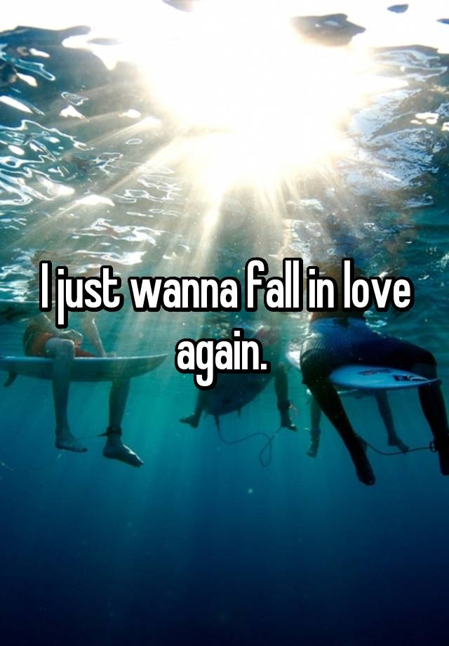 I just wanna fall in love again. 