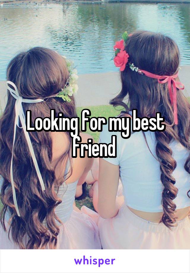 Looking for my best friend 