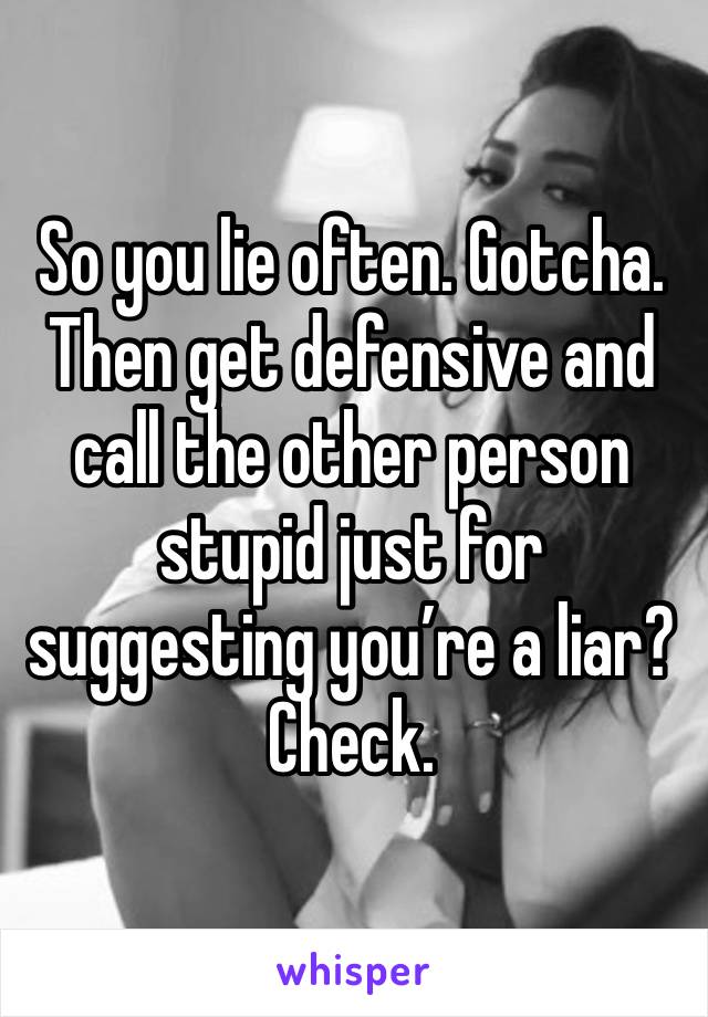 So you lie often. Gotcha. Then get defensive and call the other person stupid just for suggesting you’re a liar? Check. 