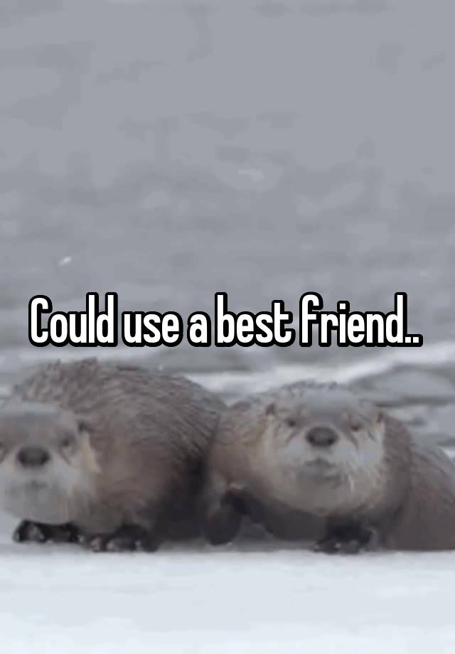 Could use a best friend.. 