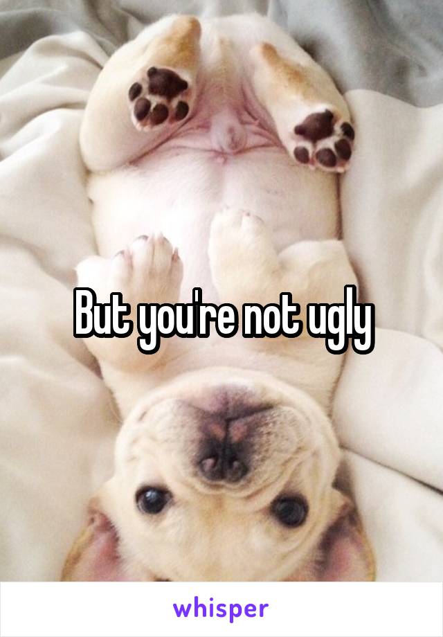 But you're not ugly