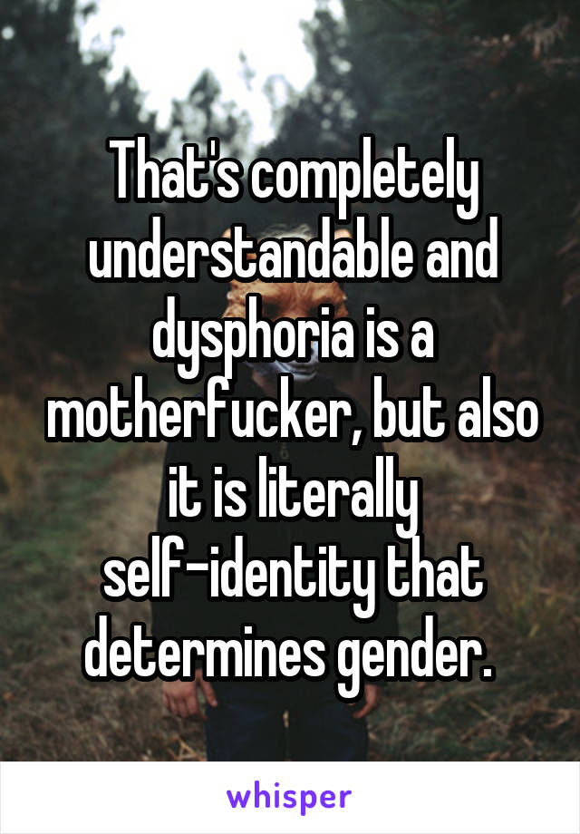 That's completely understandable and dysphoria is a motherfucker, but also it is literally self-identity that determines gender. 