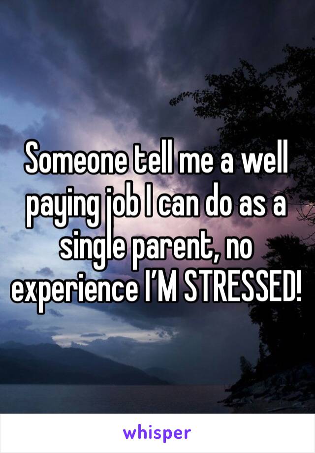 Someone tell me a well paying job I can do as a single parent, no experience I’M STRESSED! 