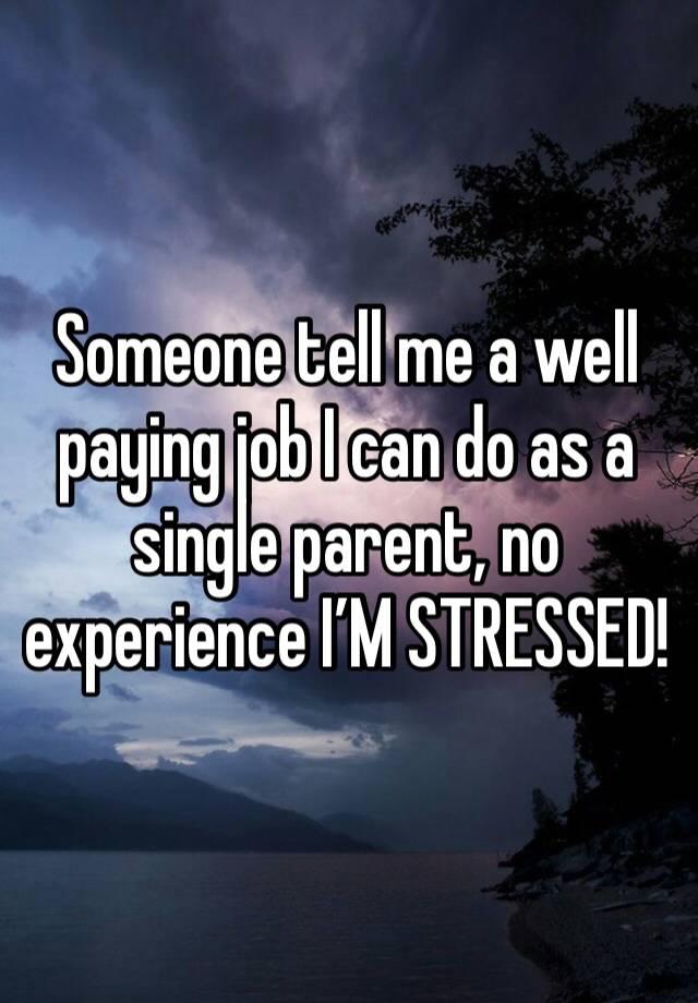 Someone tell me a well paying job I can do as a single parent, no experience I’M STRESSED! 