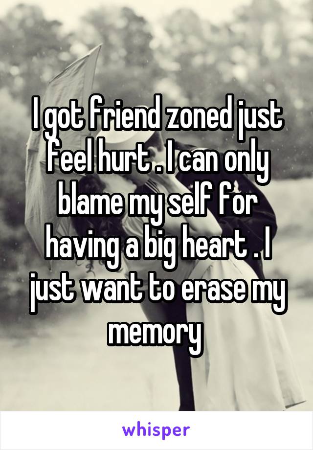 I got friend zoned just feel hurt . I can only blame my self for having a big heart . I just want to erase my memory 