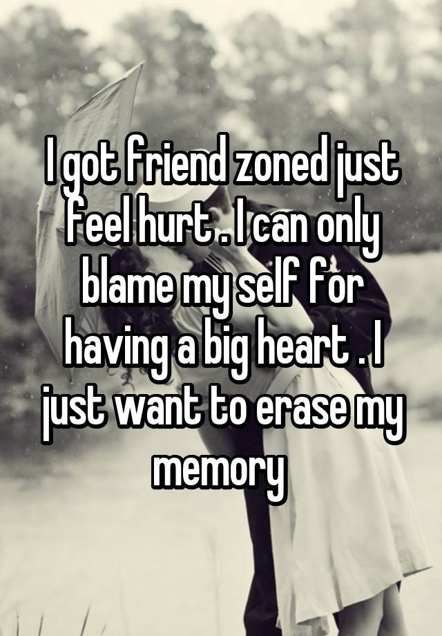 I got friend zoned just feel hurt . I can only blame my self for having a big heart . I just want to erase my memory 