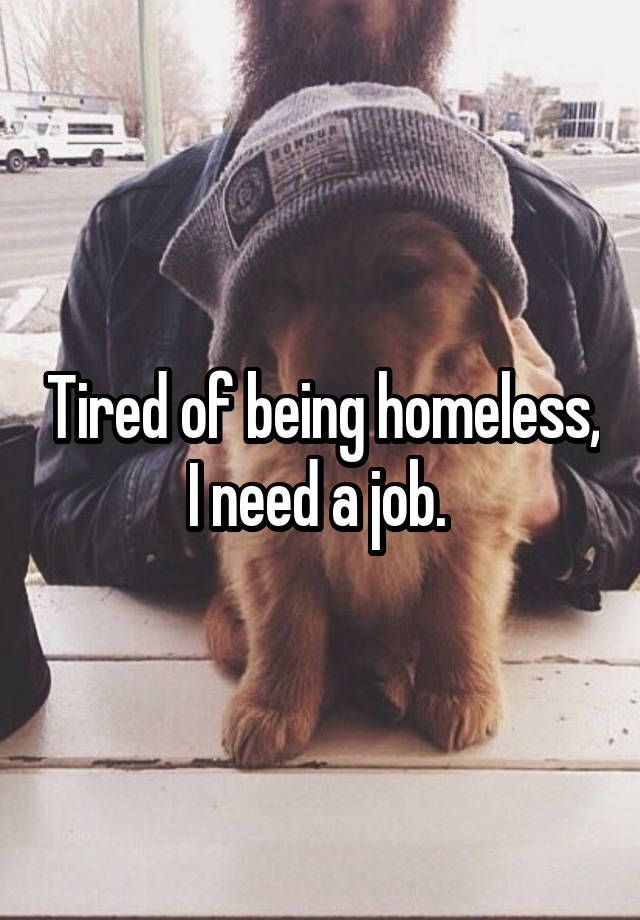 Tired of being homeless, I need a job. 