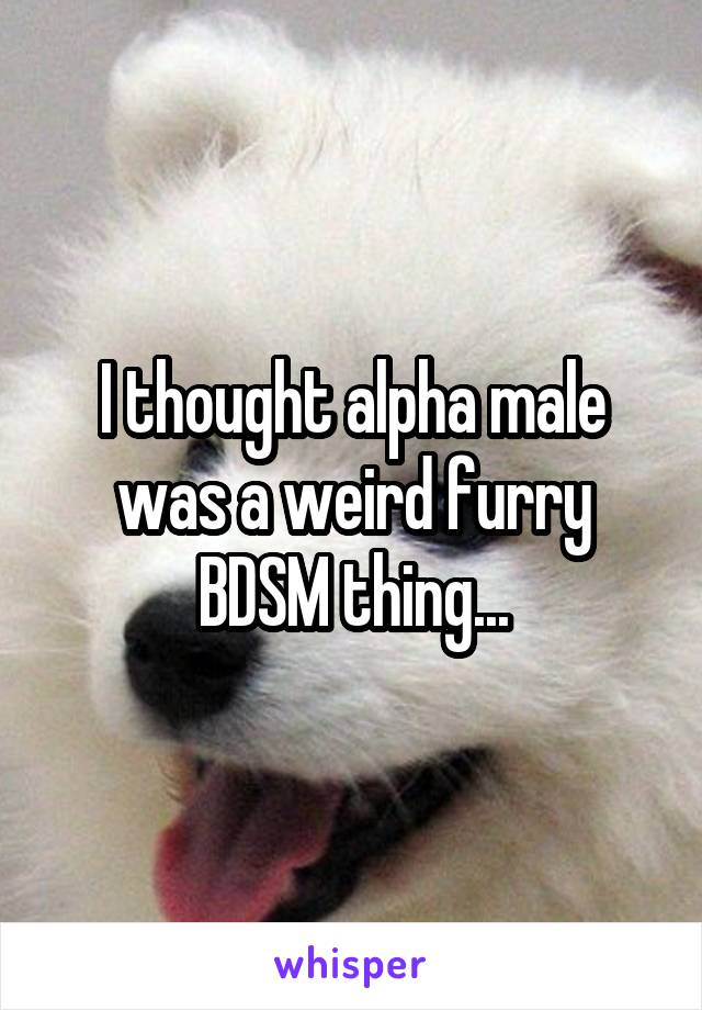 I thought alpha male was a weird furry BDSM thing...