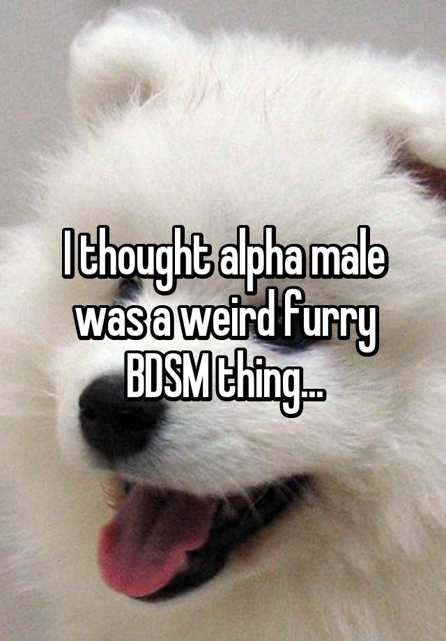 I thought alpha male was a weird furry BDSM thing...