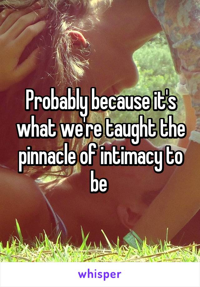 Probably because it's what we're taught the pinnacle of intimacy to be 