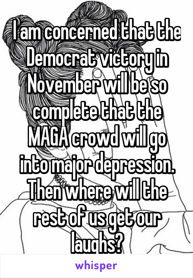 I am concerned that the Democrat victory in November will be so complete that the MAGA crowd will go into major depression. Then where will the rest of us get our laughs?