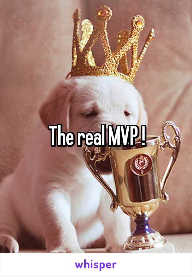 The real MVP !