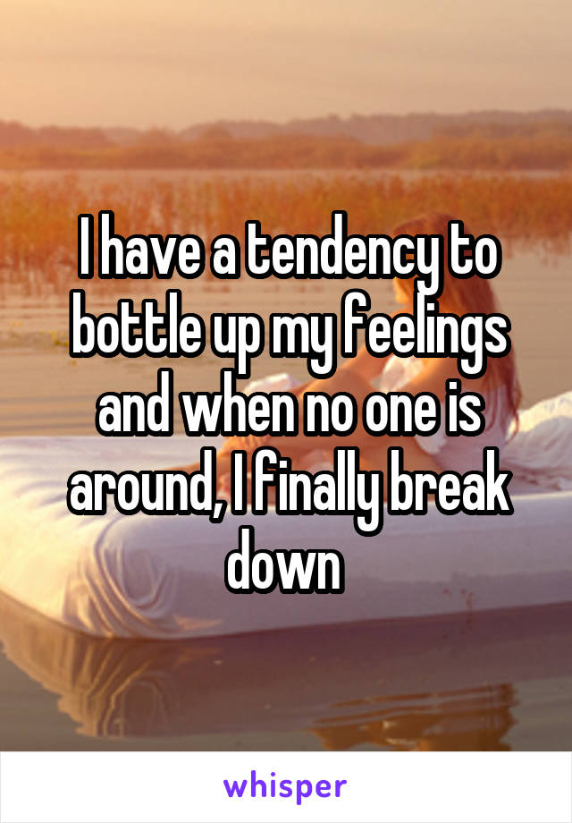 I have a tendency to bottle up my feelings and when no one is around, I finally break down 