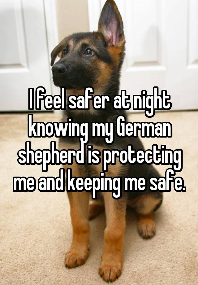 I feel safer at night knowing my German shepherd is protecting me and keeping me safe.