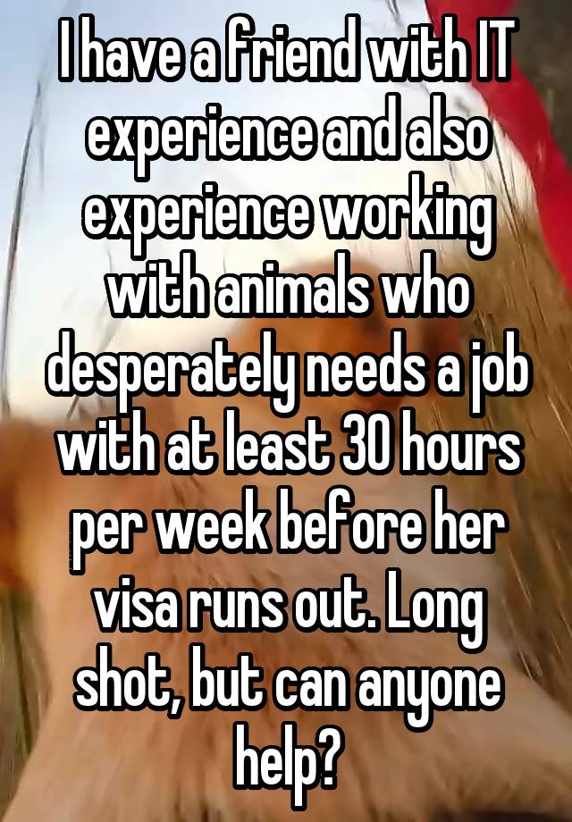 I have a friend with IT experience and also experience working with animals who desperately needs a job with at least 30 hours per week before her visa runs out. Long shot, but can anyone help?