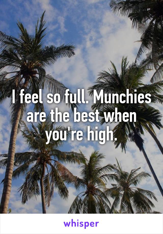 I feel so full. Munchies are the best when you're high.