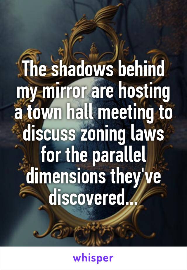 The shadows behind my mirror are hosting a town hall meeting to discuss zoning laws for the parallel dimensions they've discovered...