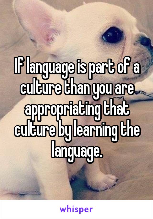 If language is part of a culture than you are appropriating that culture by learning the language.