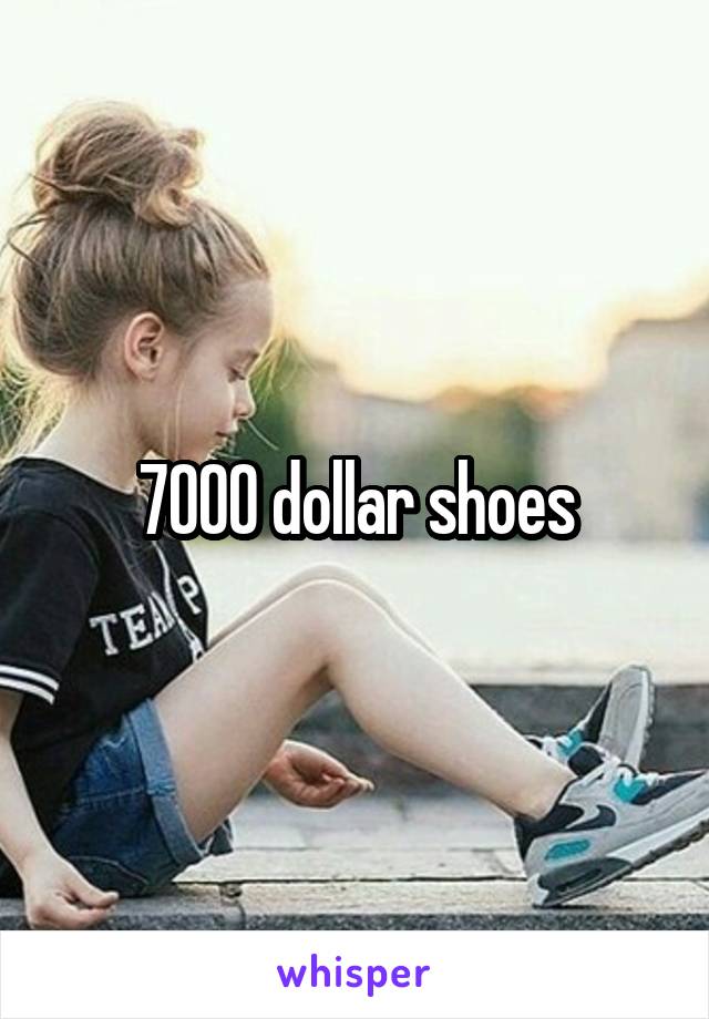 7000 dollar shoes