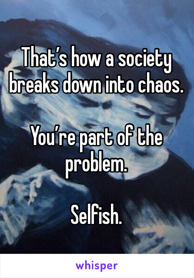 That’s how a society breaks down into chaos. 

You’re part of the problem. 

Selfish. 