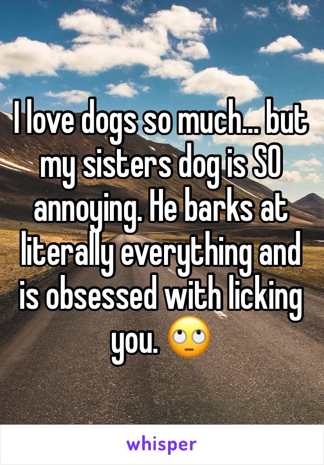 I love dogs so much… but my sisters dog is SO annoying. He barks at literally everything and is obsessed with licking you. 🙄