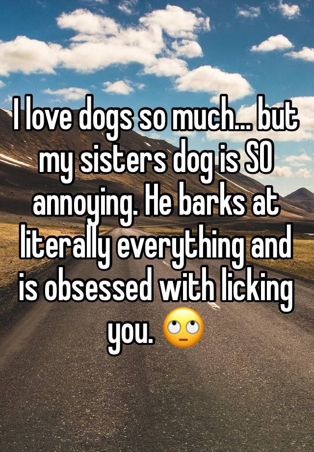 I love dogs so much… but my sisters dog is SO annoying. He barks at literally everything and is obsessed with licking you. 🙄