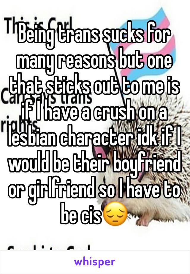 Being trans sucks for many reasons but one that sticks out to me is if I have a crush on a lesbian character idk if I would be their boyfriend or girlfriend so I have to be cis😔