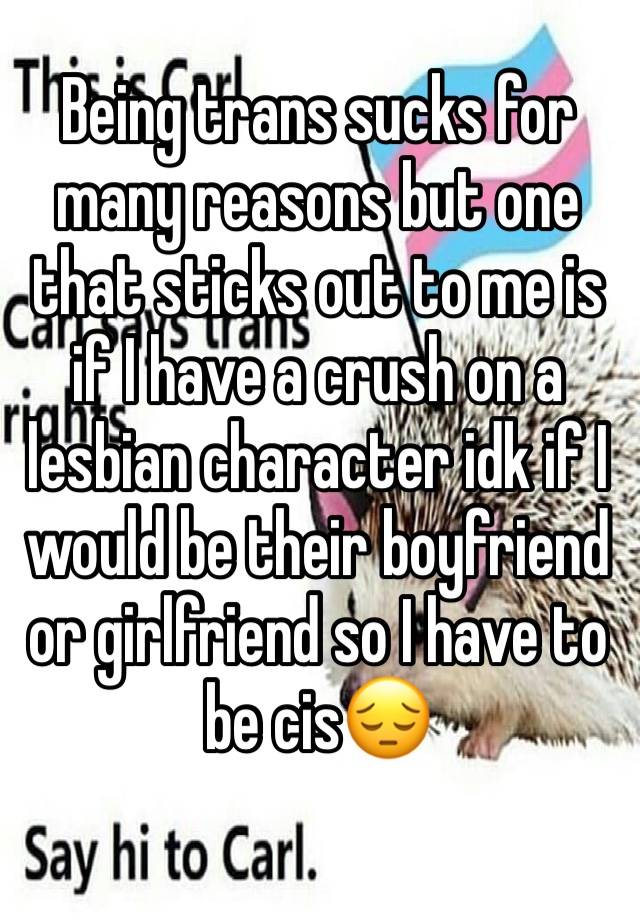 Being trans sucks for many reasons but one that sticks out to me is if I have a crush on a lesbian character idk if I would be their boyfriend or girlfriend so I have to be cis😔