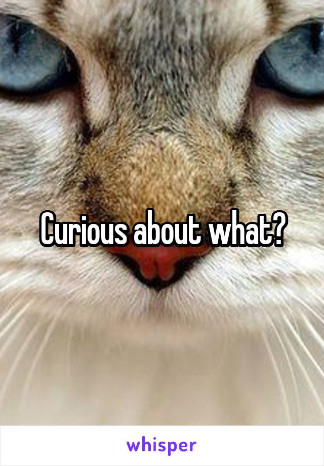 Curious about what?