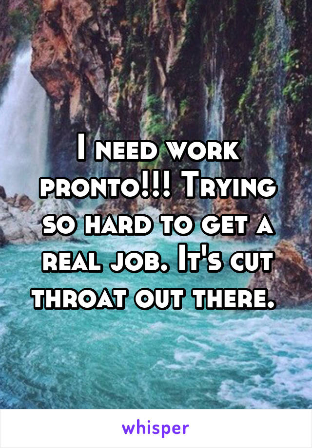 I need work pronto!!! Trying so hard to get a real job. It's cut throat out there. 