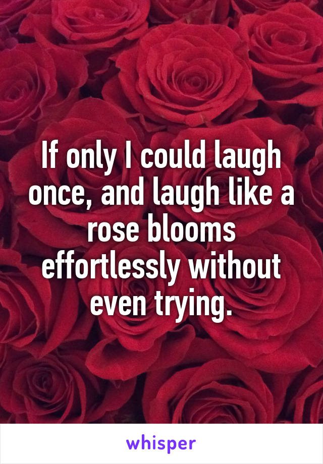 If only I could laugh once, and laugh like a rose blooms effortlessly without even trying.