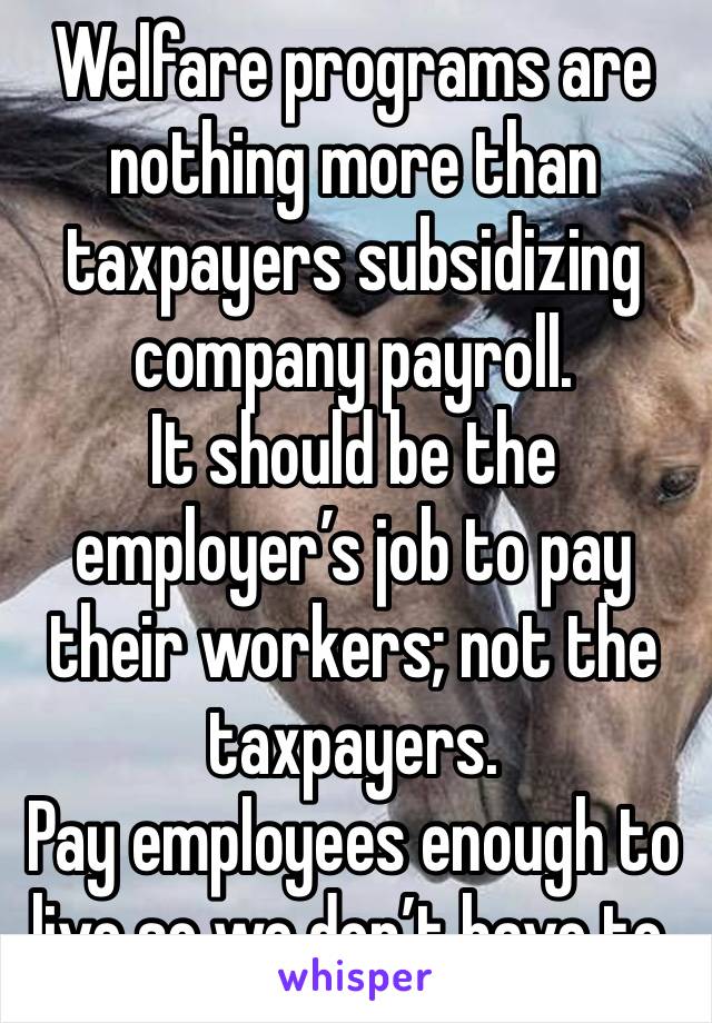 Welfare programs are nothing more than taxpayers subsidizing company payroll.
It should be the employer’s job to pay their workers; not the taxpayers.
Pay employees enough to live so we don’t have to.