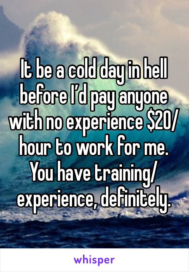 It be a cold day in hell before I’d pay anyone with no experience $20/hour to work for me. You have training/experience, definitely. 