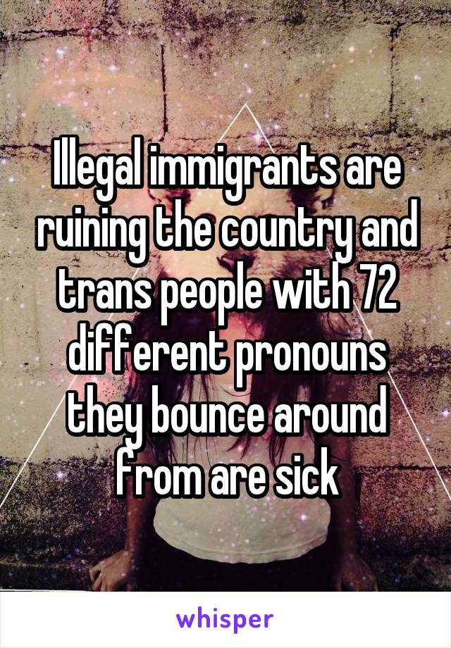 Illegal immigrants are ruining the country and trans people with 72 different pronouns they bounce around from are sick