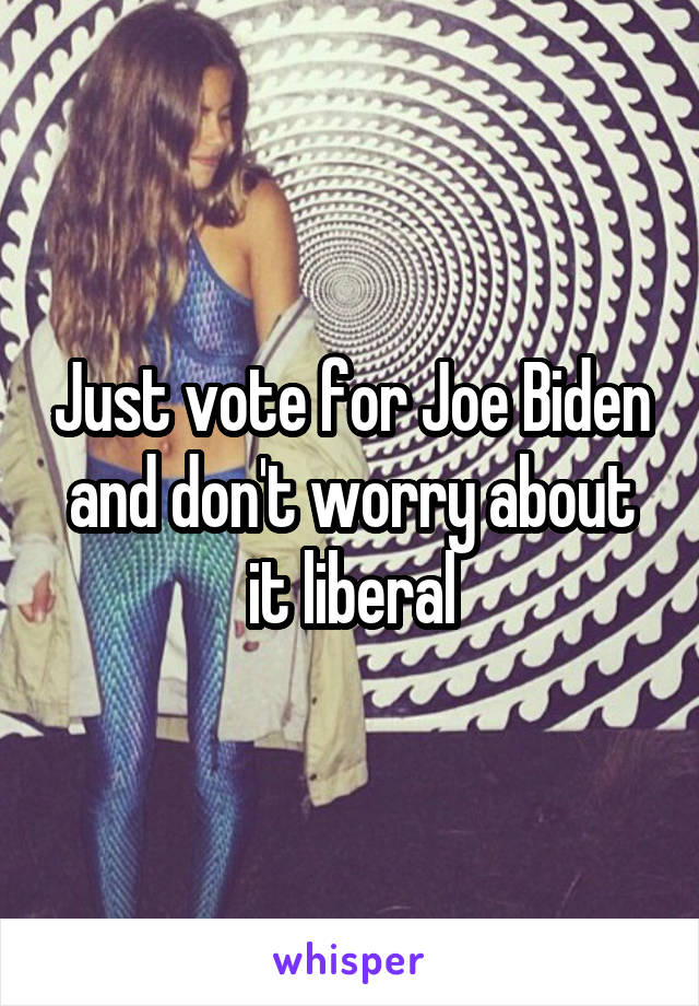 Just vote for Joe Biden and don't worry about it liberal