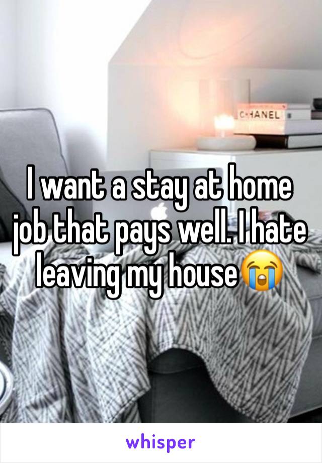 I want a stay at home job that pays well. I hate leaving my house😭