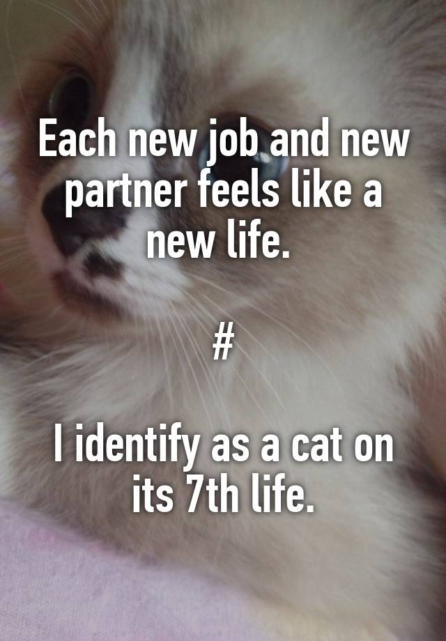 Each new job and new partner feels like a new life. 

#

I identify as a cat on its 7th life.