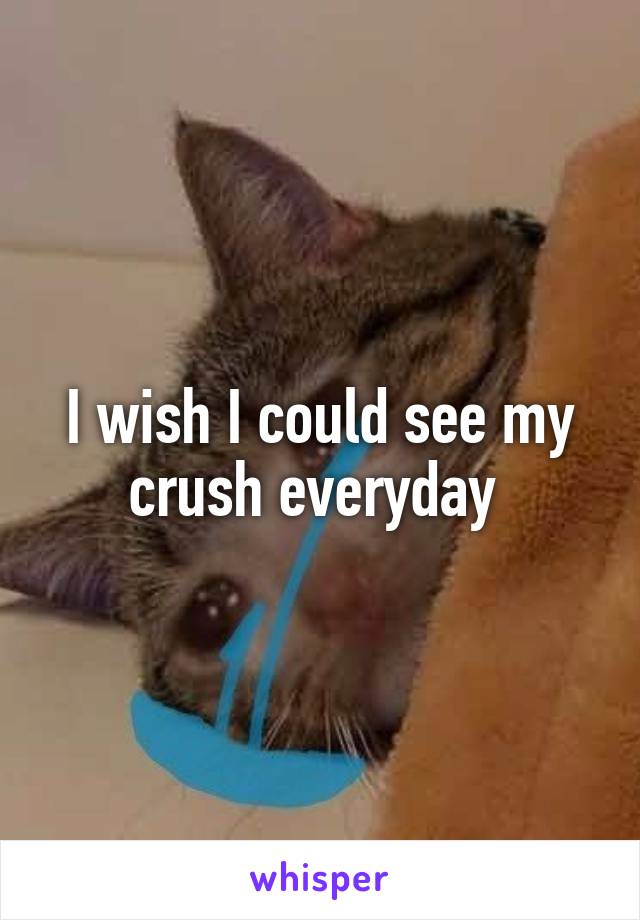 I wish I could see my crush everyday 