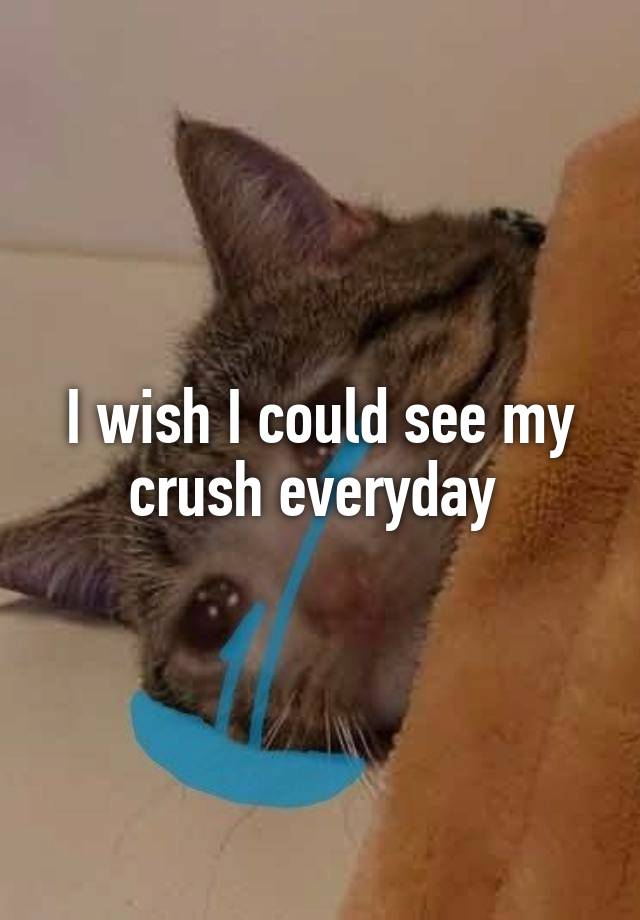 I wish I could see my crush everyday 