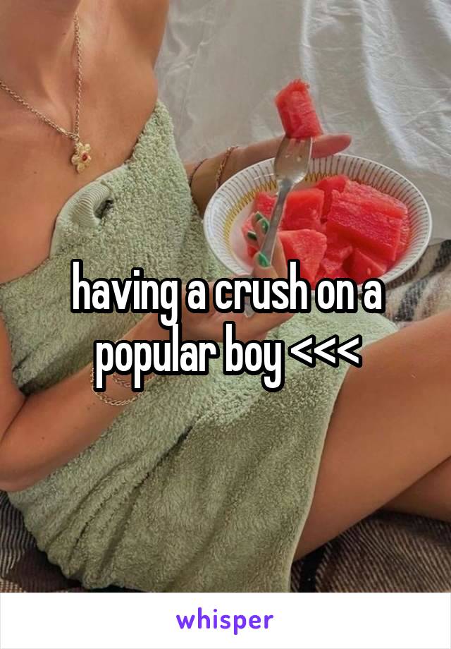 having a crush on a popular boy <<<